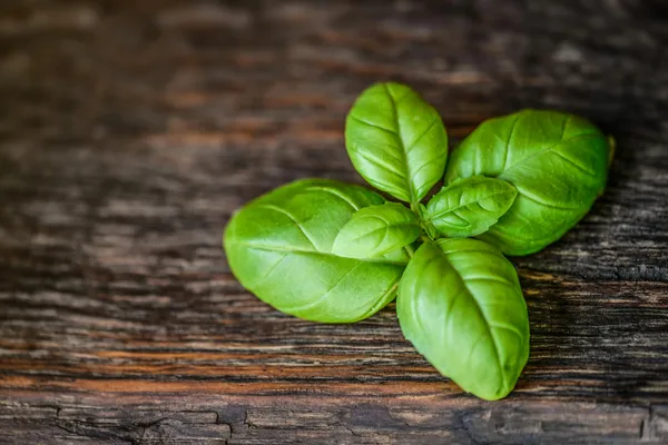 Fresh basil leaves