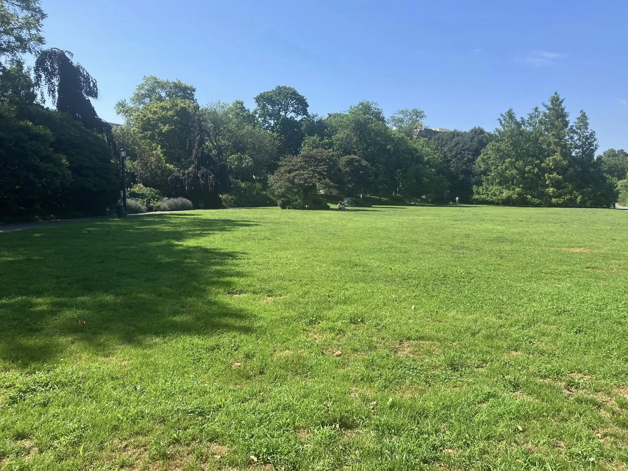 Narrows Botanical Gardens