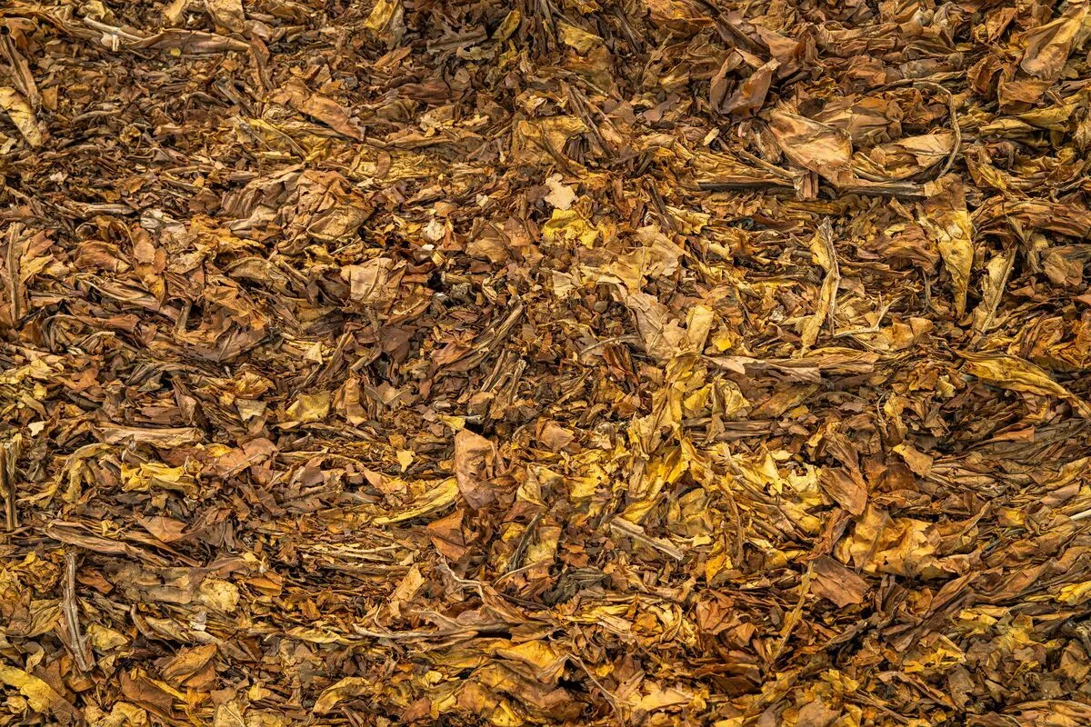 Your Compost is Finished. Now What? A Guide on How to Store Compost