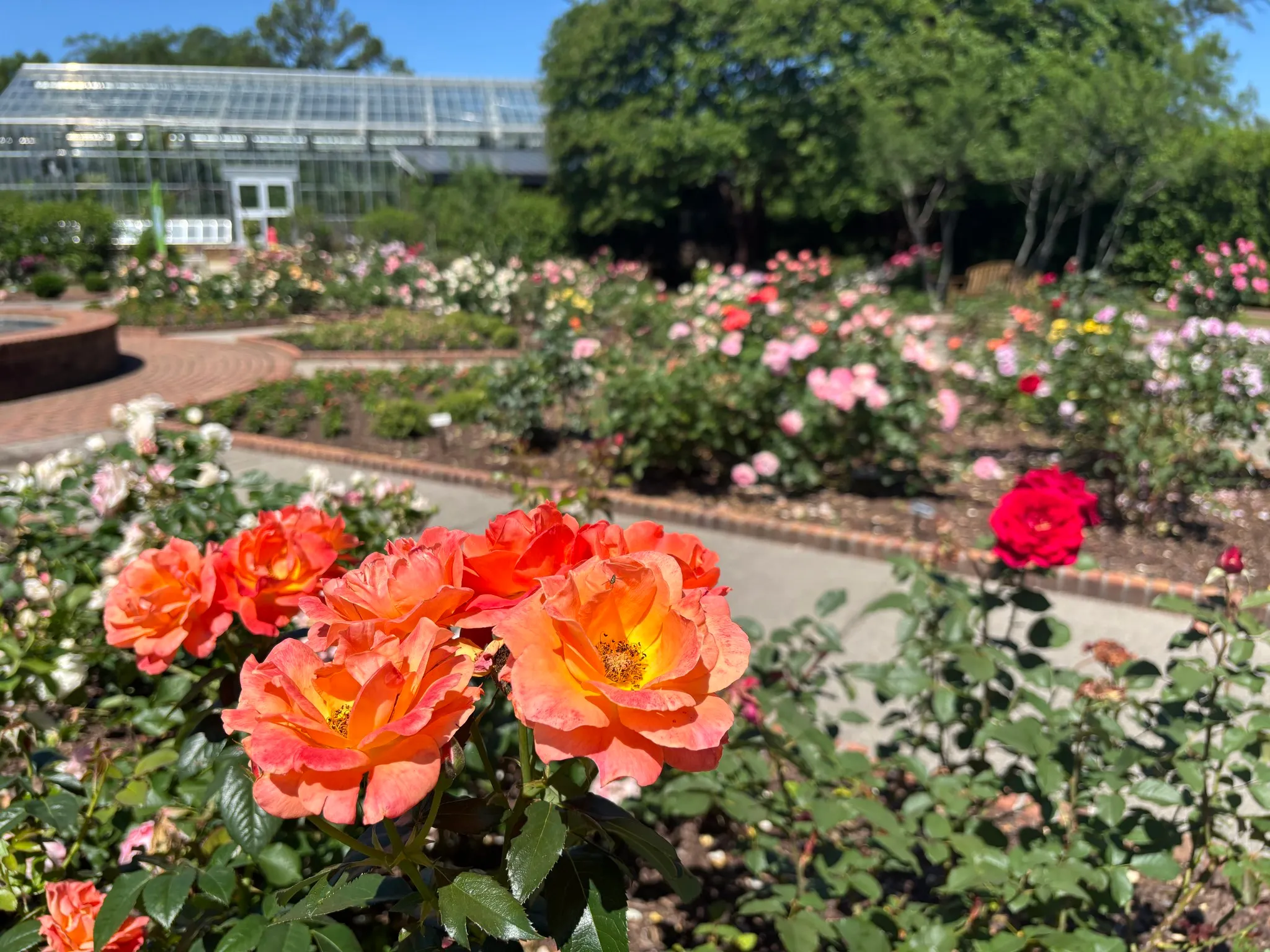 Entrance path at Memphis Botanic Garden