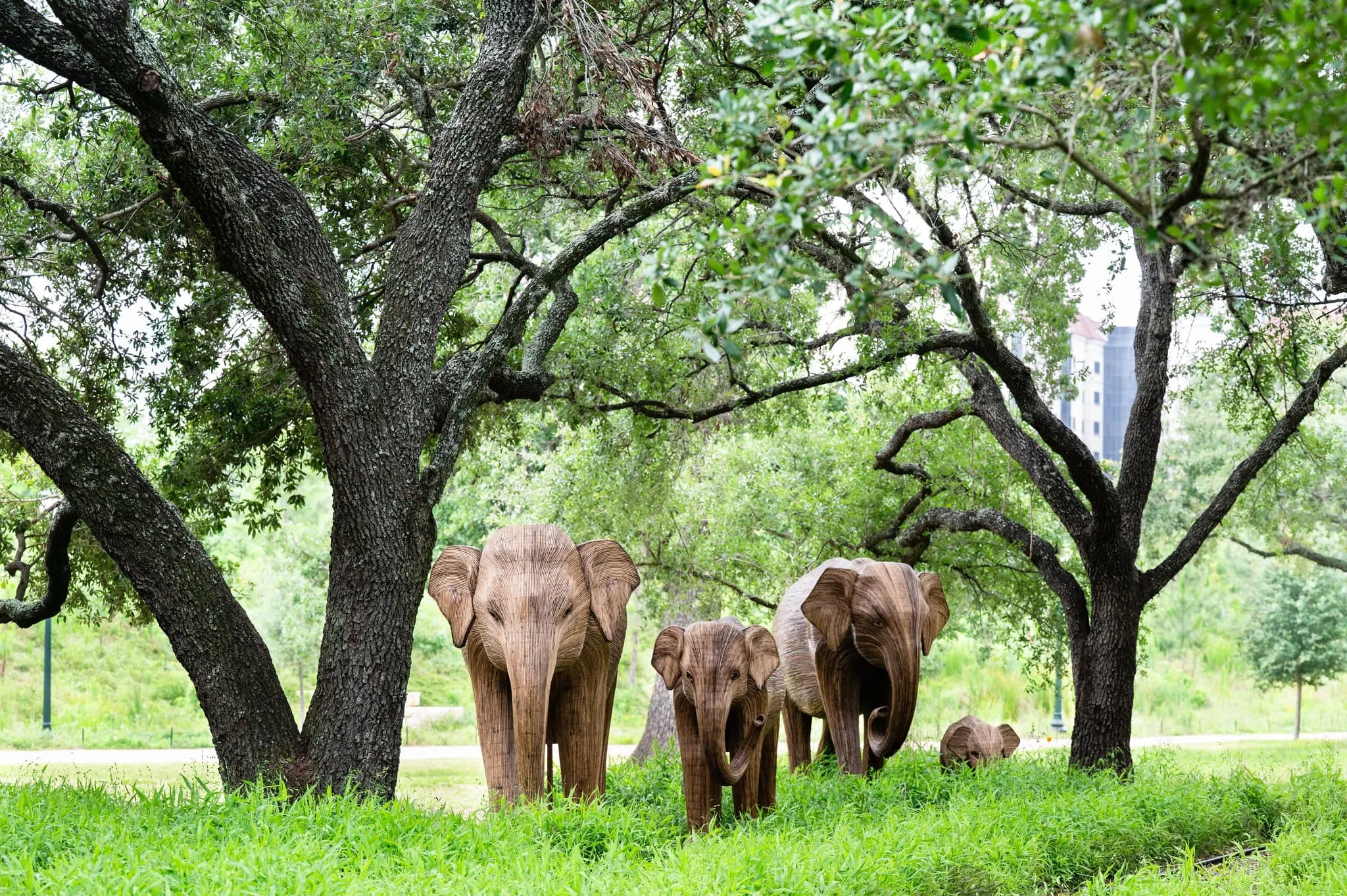 Hermann Park