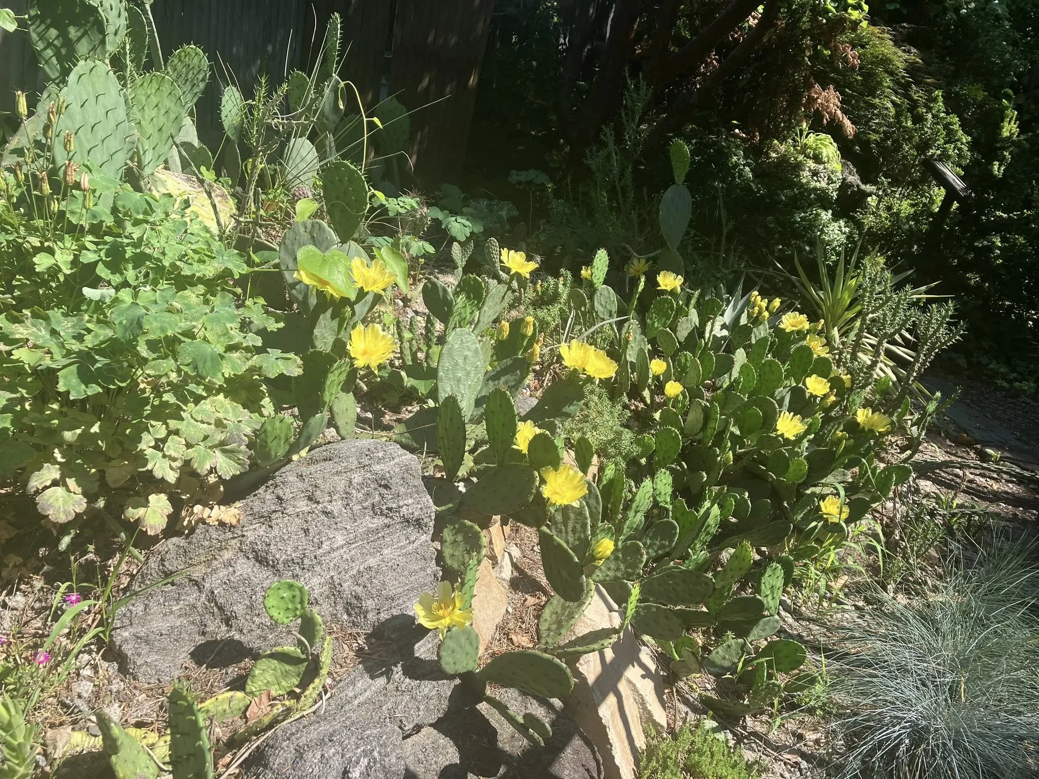 Narrows Botanical Gardens