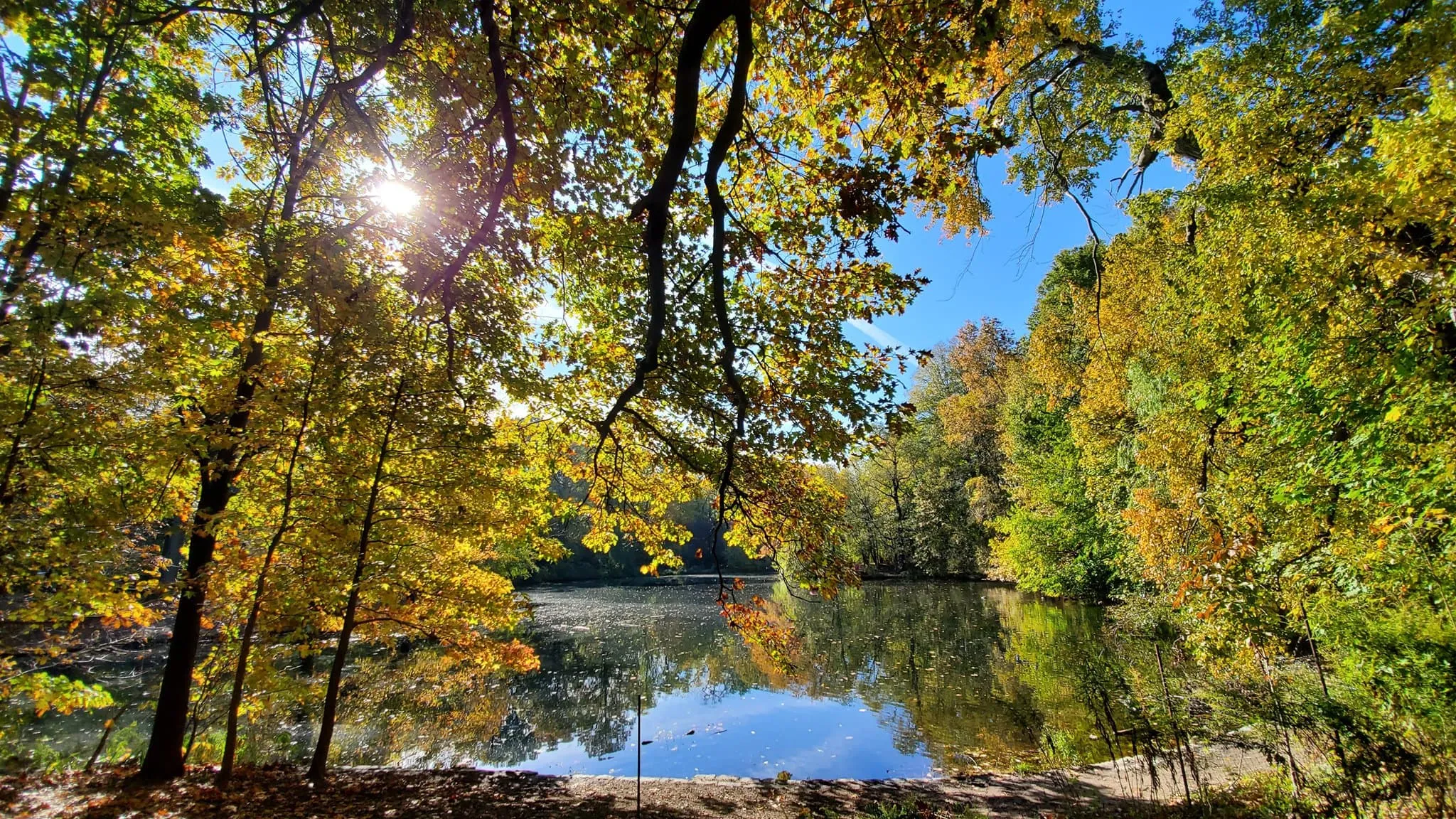 Prospect Park