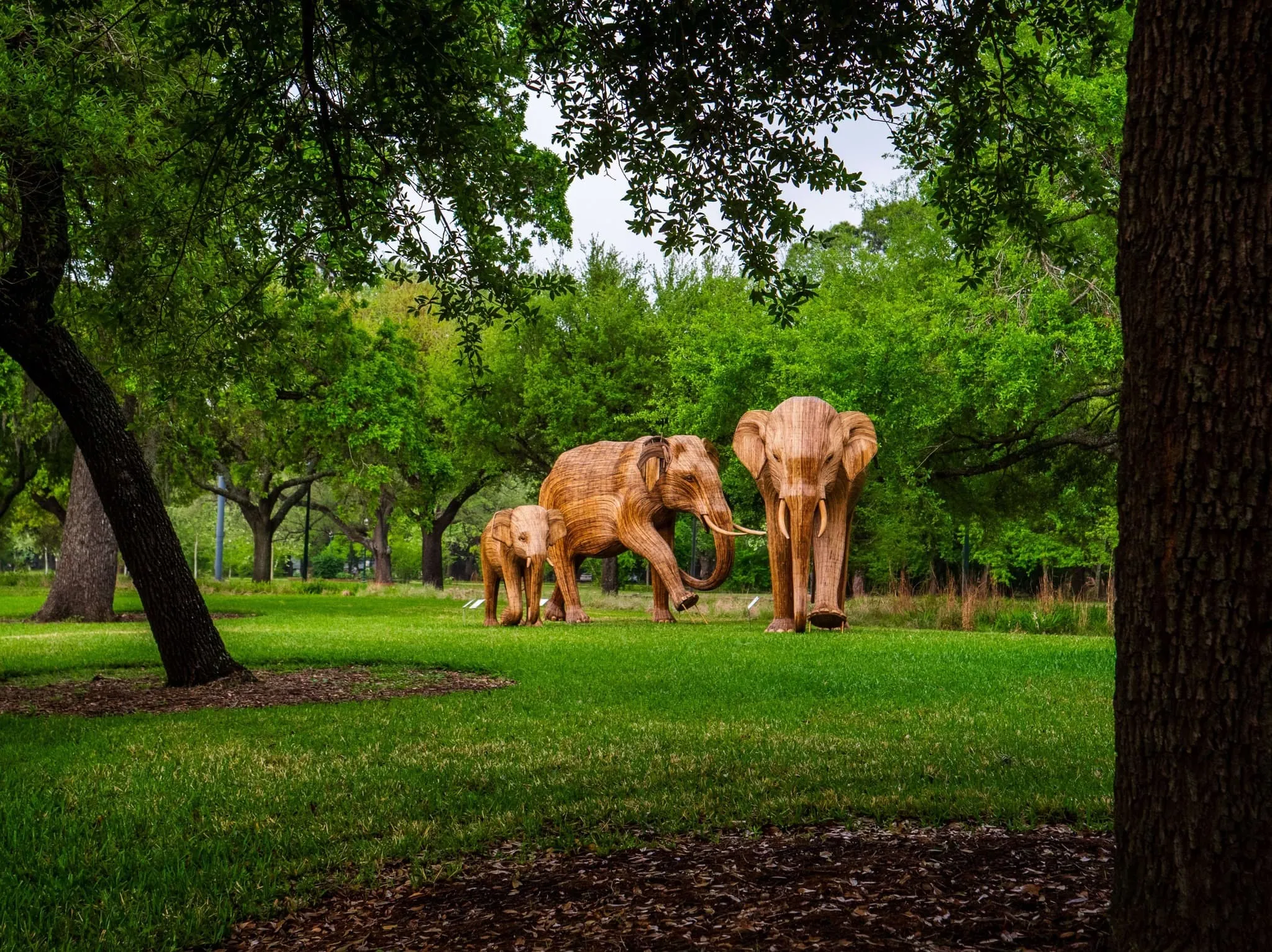 Hermann Park