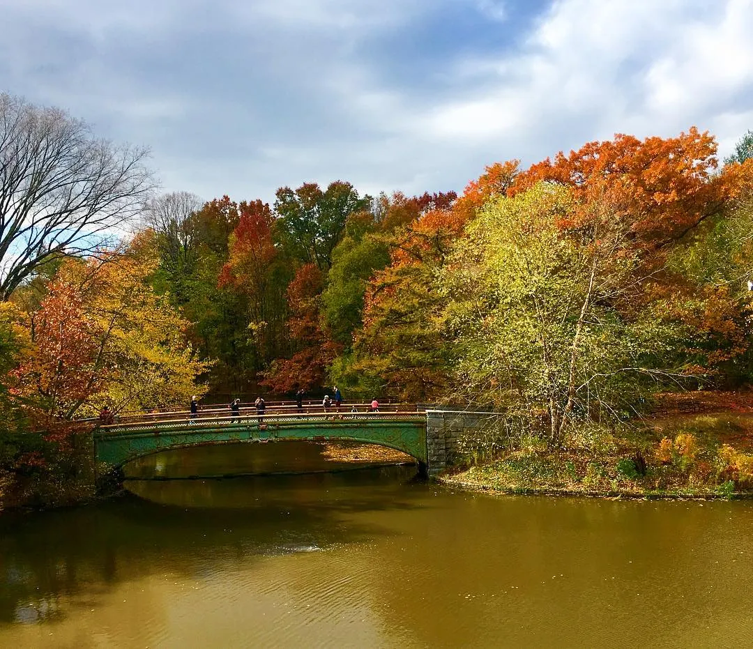 Prospect Park